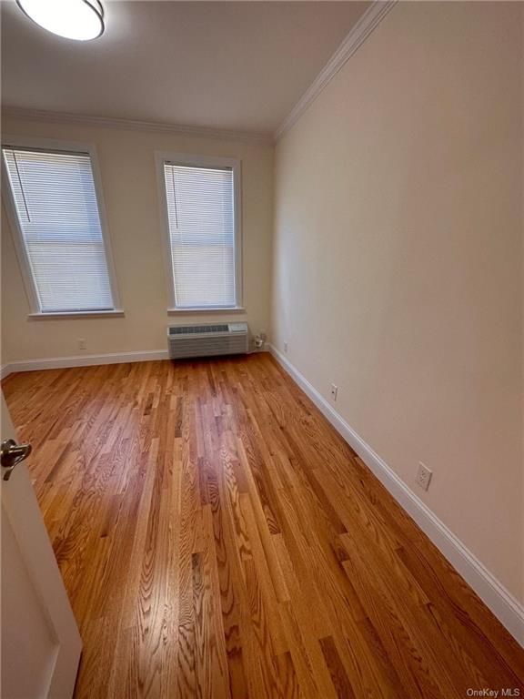 Apartment Radcliff  Bronx, NY 10462, MLS-H6278833-5