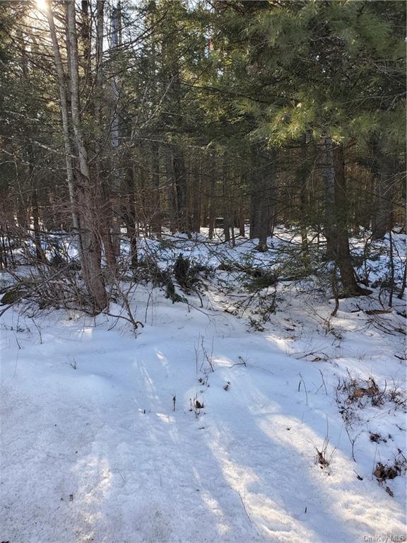 Land Red Star  Ulster, NY 12435, MLS-H6236851-5