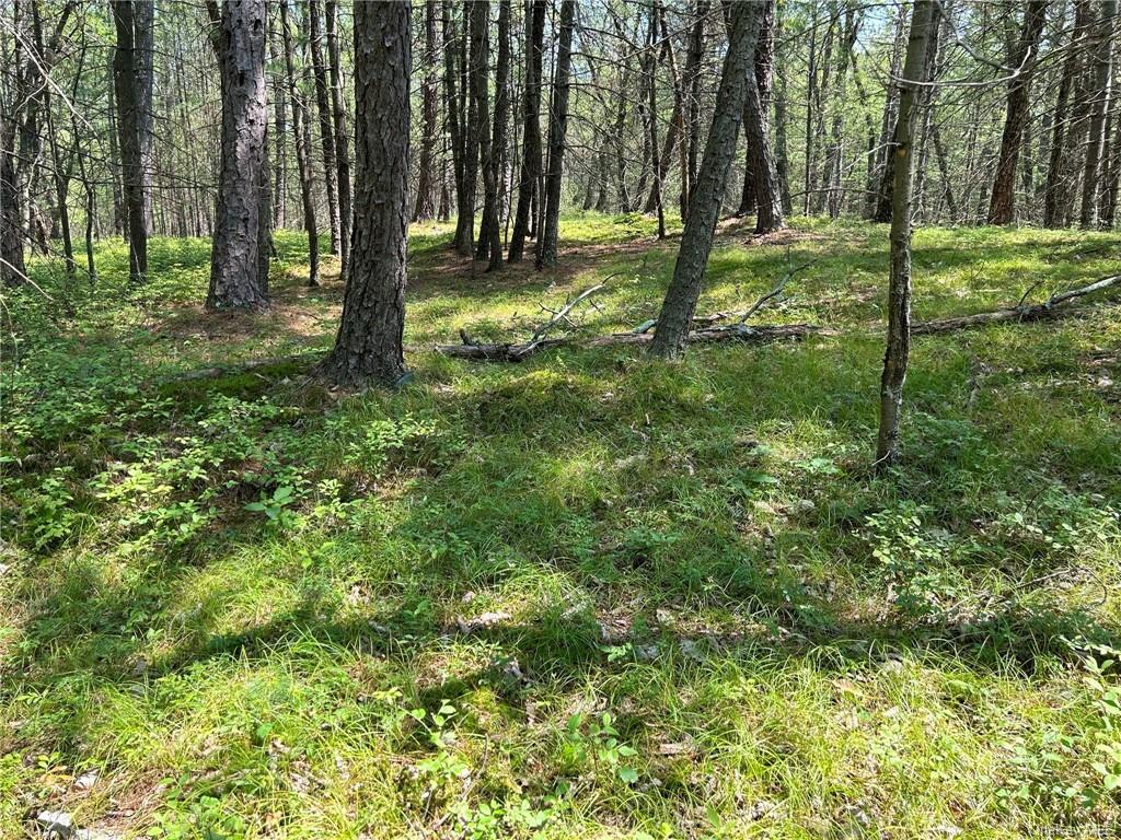 Land Clendening  Ulster, NY 12484, MLS-H6259859-5