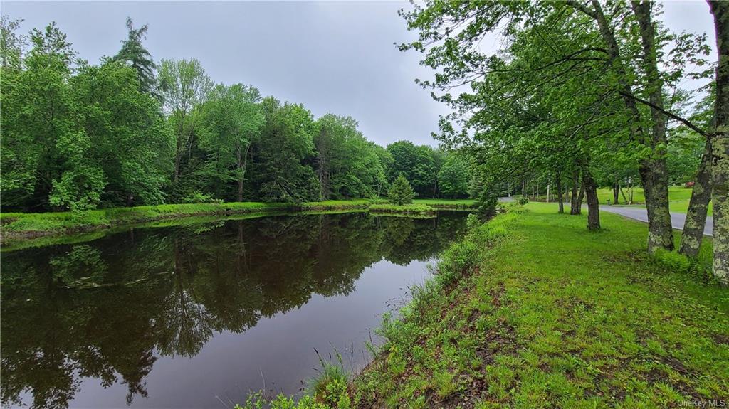 Land Dingle Daisy  Sullivan, NY 12701, MLS-H6204867-5