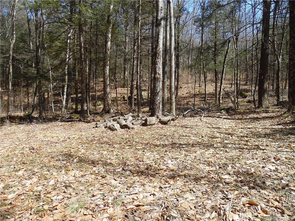 Land Gulf  Sullivan, NY 12724, MLS-H6238867-5