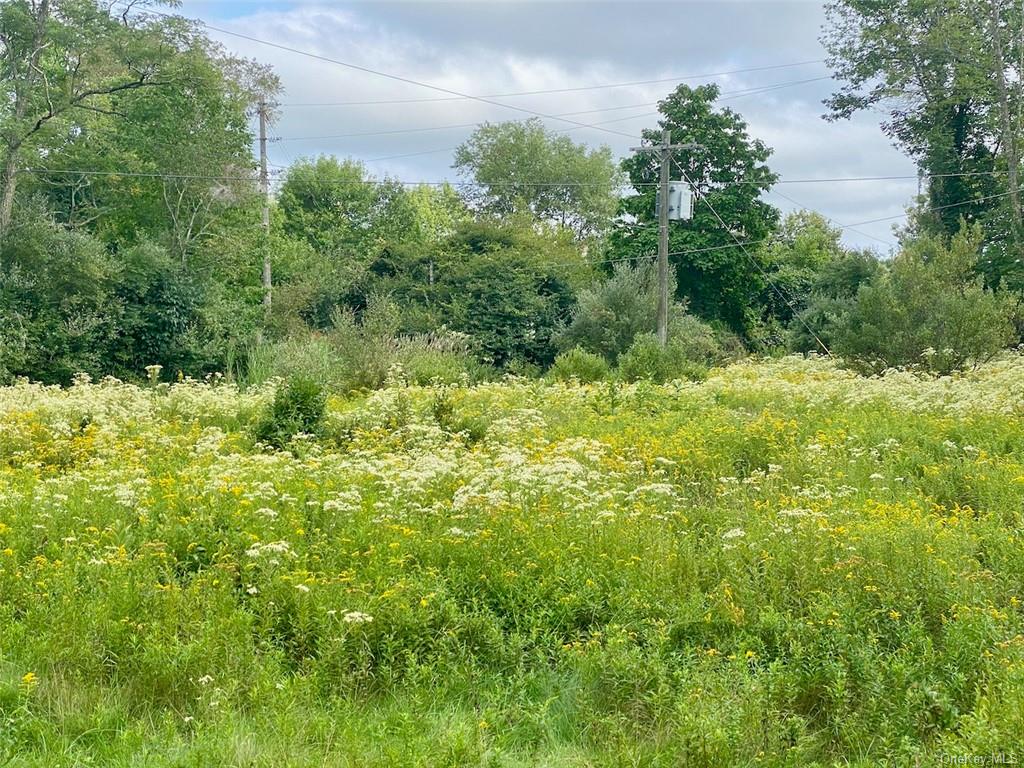 Land Moscoe  Sullivan, NY 12720, MLS-H6241893-5