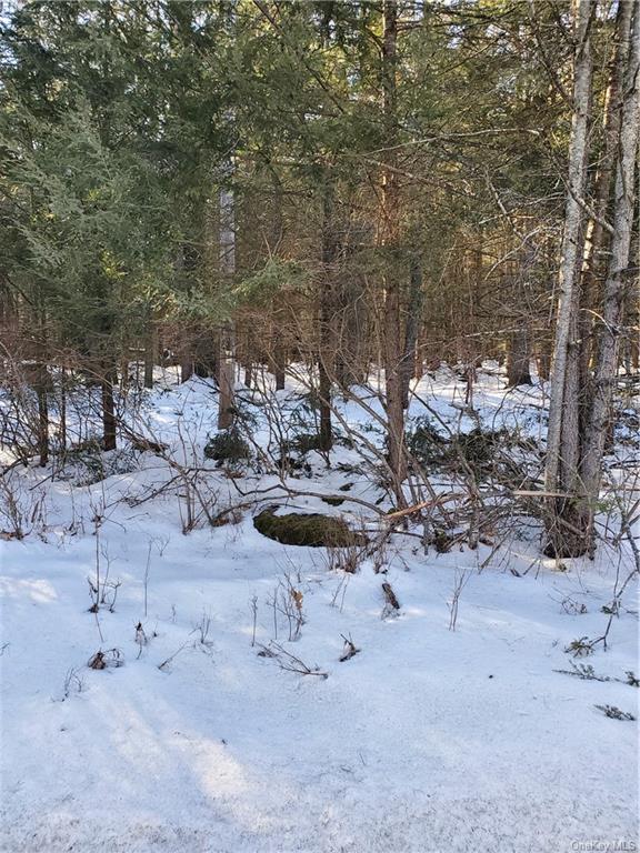 Land Red Star  Ulster, NY 12435, MLS-H6236940-5