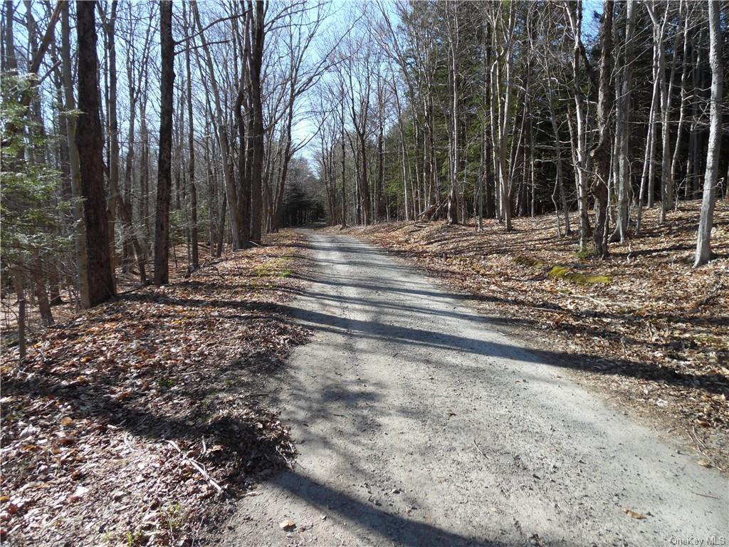 Land Revonah Hill  Sullivan, NY 12754, MLS-H6227985-5