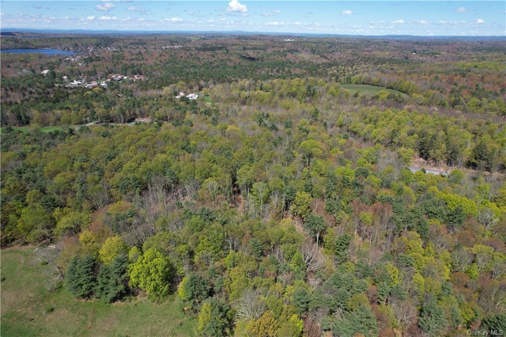 Land Royce  Sullivan, NY 12720, MLS-H6245995-5