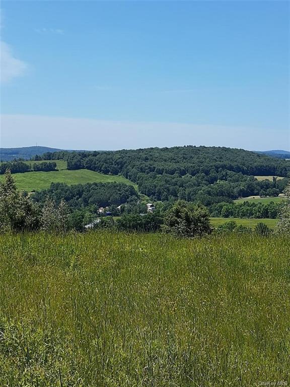 Land Beechwoods  Sullivan, NY 12723, MLS-H6264013-6