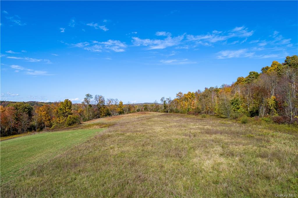 Land Traver  Dutchess, NY 12569, MLS-H6272015-6