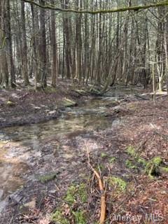 Land Bear Run  Sullivan, NY 12764, MLS-H6168030-6