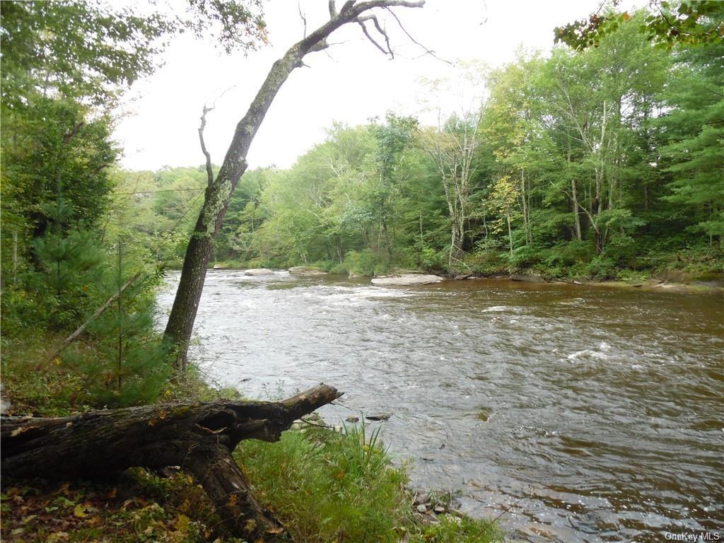 Land Plank  Sullivan, NY 12720, MLS-H6237065-6