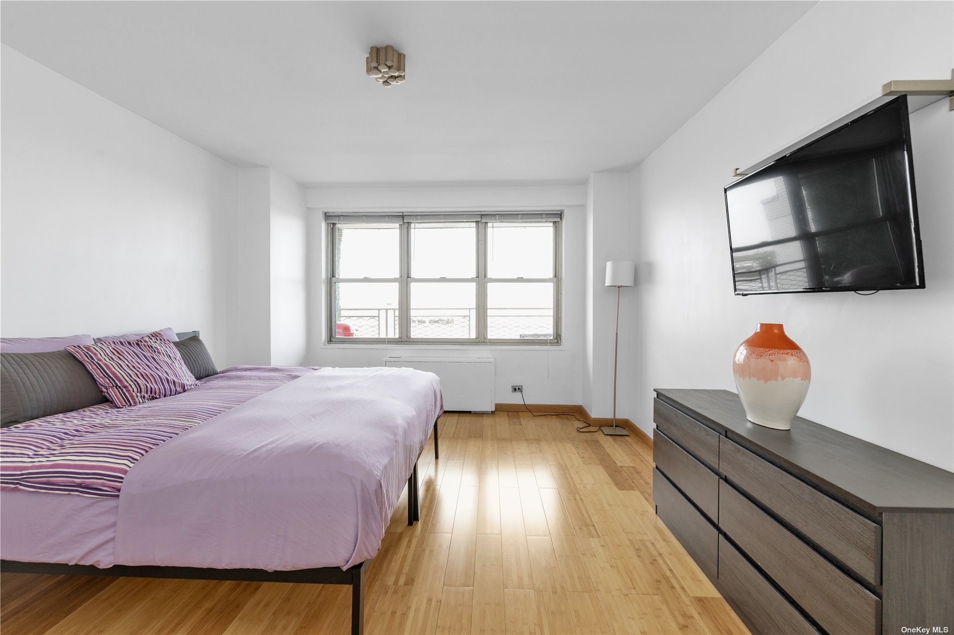 Apartment Queens  Queens, NY 11415, MLS-3510079-6
