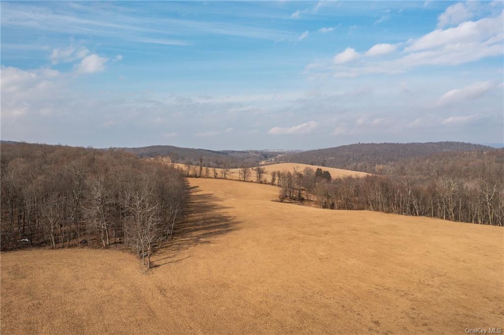 Land Silver Mountain  Dutchess, NY 12546, MLS-H6238098-6