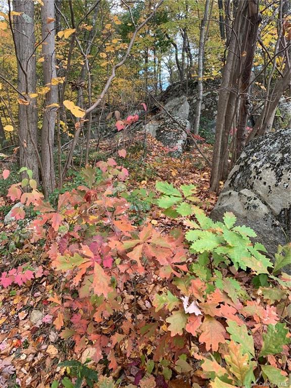 Land South  Dutchess, NY 12531, MLS-H6217102-6