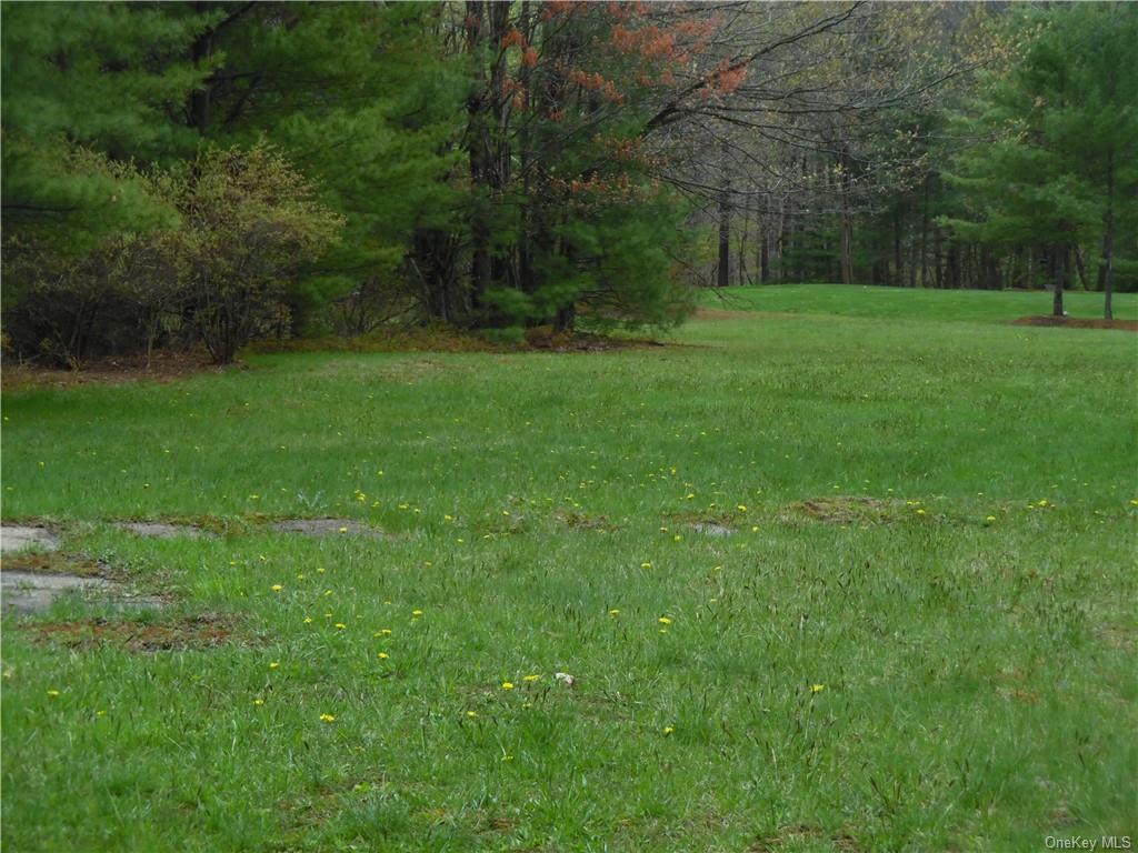 Land Dunn Town  Sullivan, NY 12790, MLS-H6247116-6