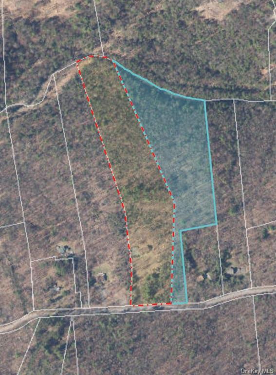 Land Piney Point  Ulster, NY 12461, MLS-H6260123-6