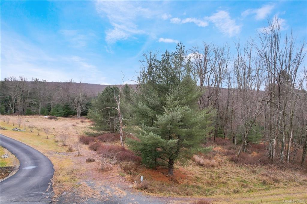 Land Lena  Sullivan, NY 12777, MLS-H6280157-6