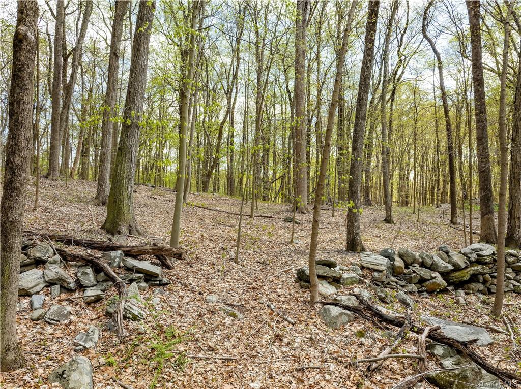 Land Creemer  Westchester, NY 10504, MLS-H6251162-6