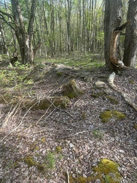 Land State  Sullivan, NY 12754, MLS-H6249164-6