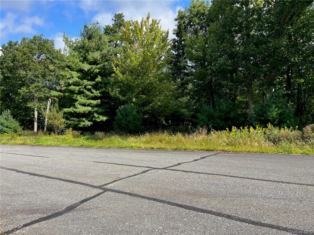 Land Pine Lake  Sullivan, NY 12790, MLS-H6269173-6