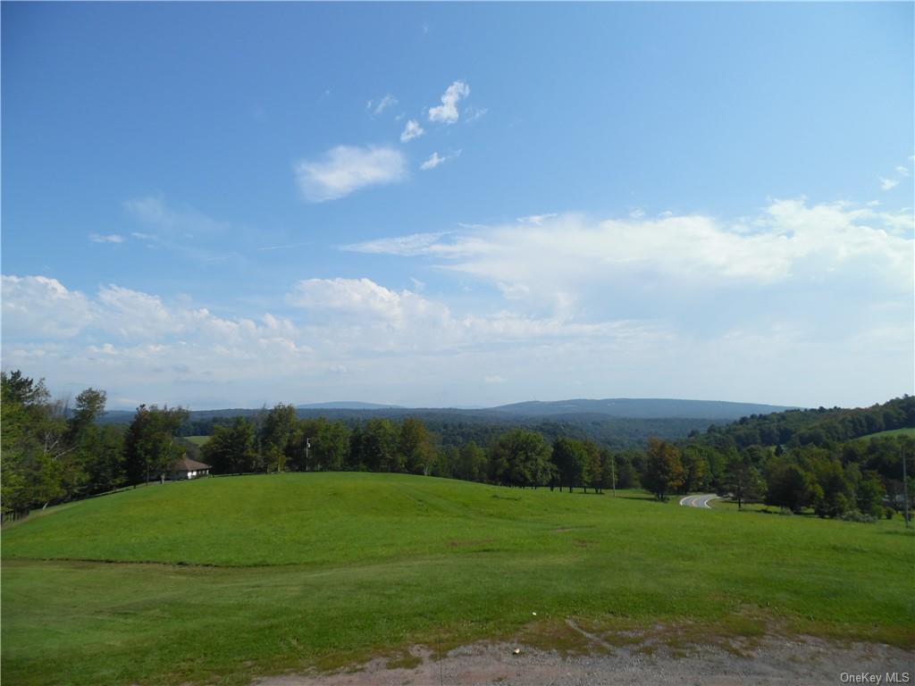 Single Family Rock View  Sullivan, NY 12759, MLS-H6267183-6