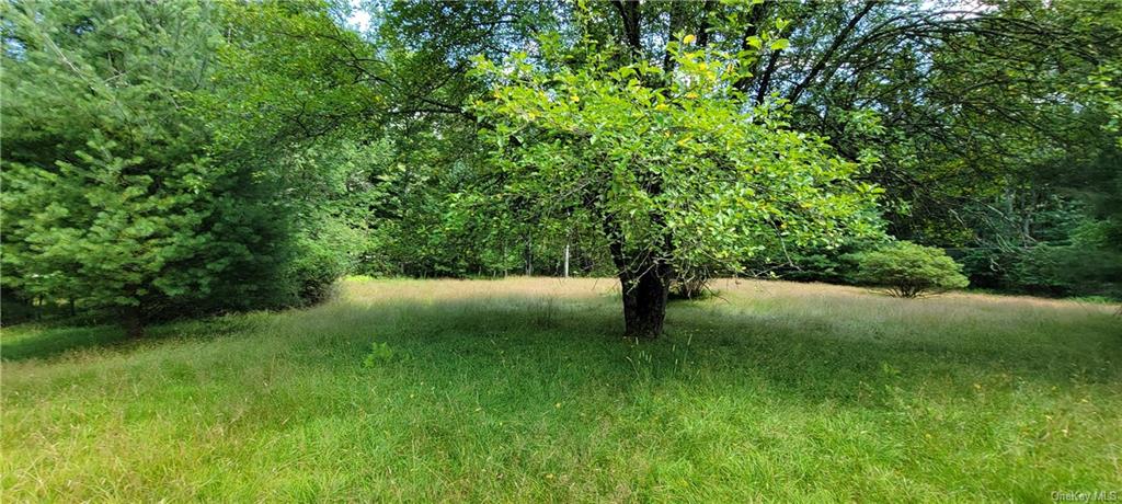 Land Westervelt  Sullivan, NY 12726, MLS-H6264186-6