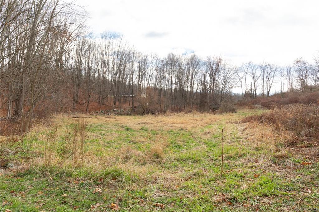 Land Cream  Dutchess, NY 12601, MLS-H6256190-6