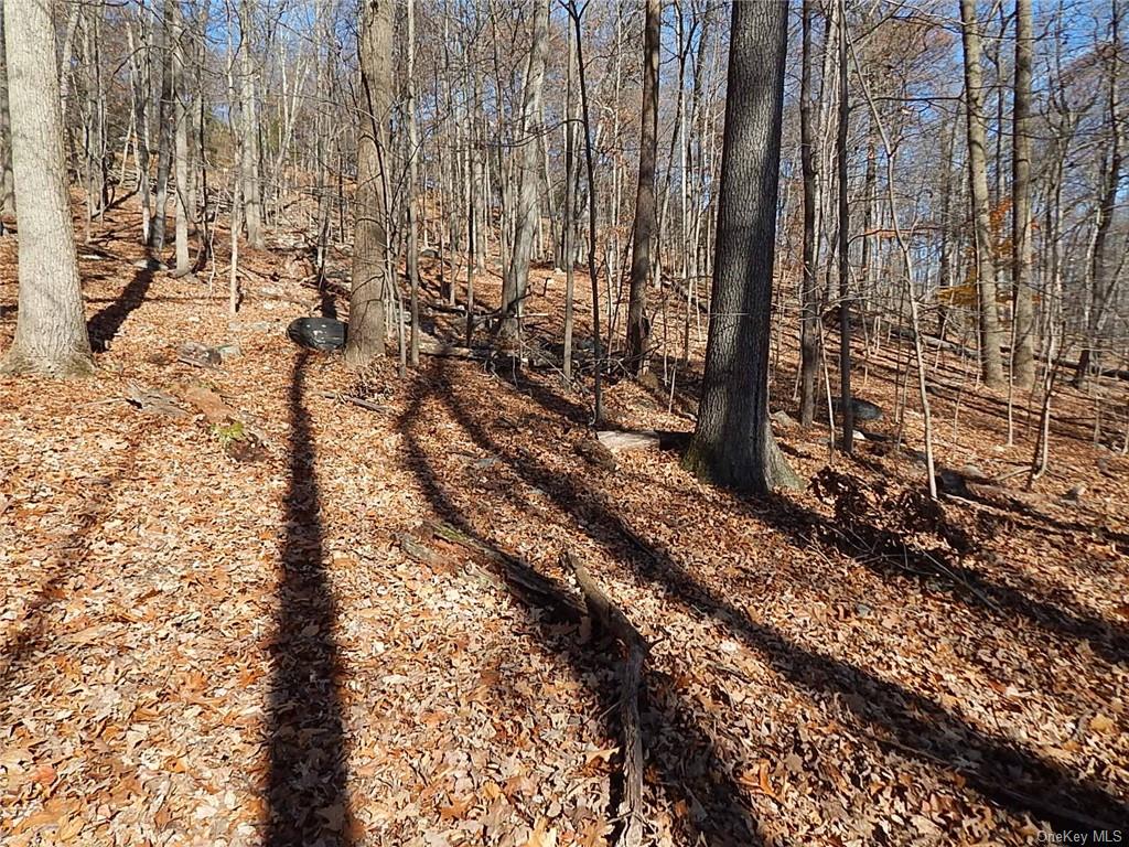 Land Mountain  Rockland, NY 10956, MLS-H6279191-6