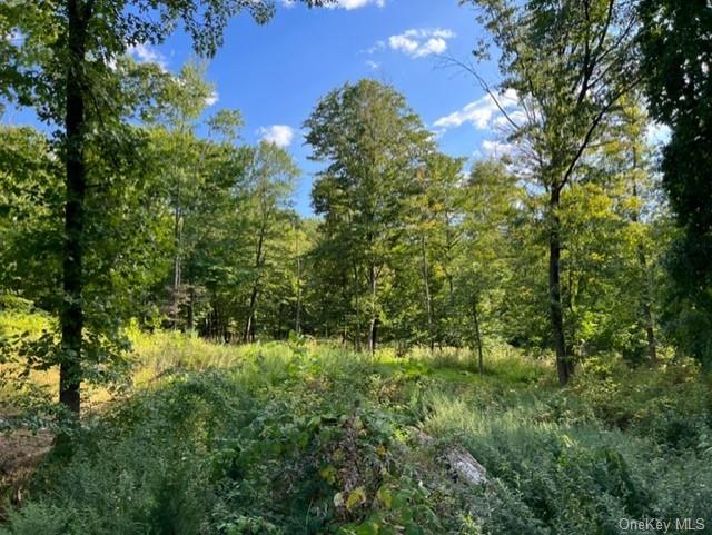 Land Deerwood  Dutchess, NY 12533, MLS-H6212196-6