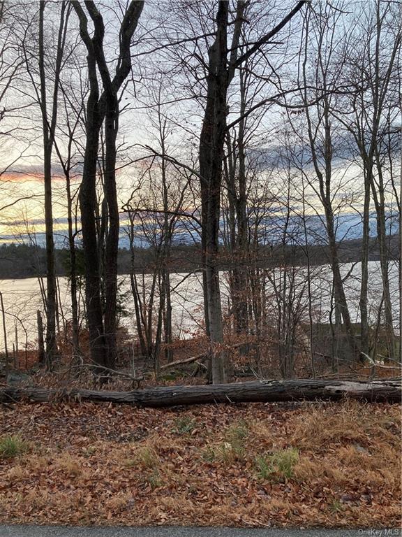 Land Starlight  Sullivan, NY 12775, MLS-H6279227-6