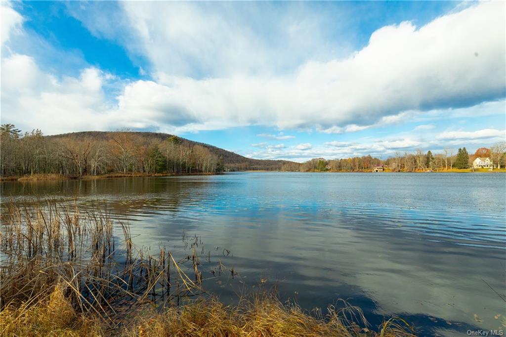 Land Lake  Dutchess, NY 12567, MLS-H6280278-6