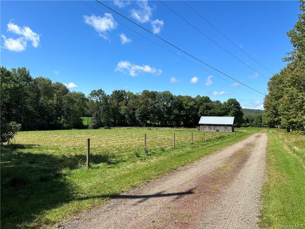 Land Menges  Sullivan, NY 12791, MLS-H6268308-6