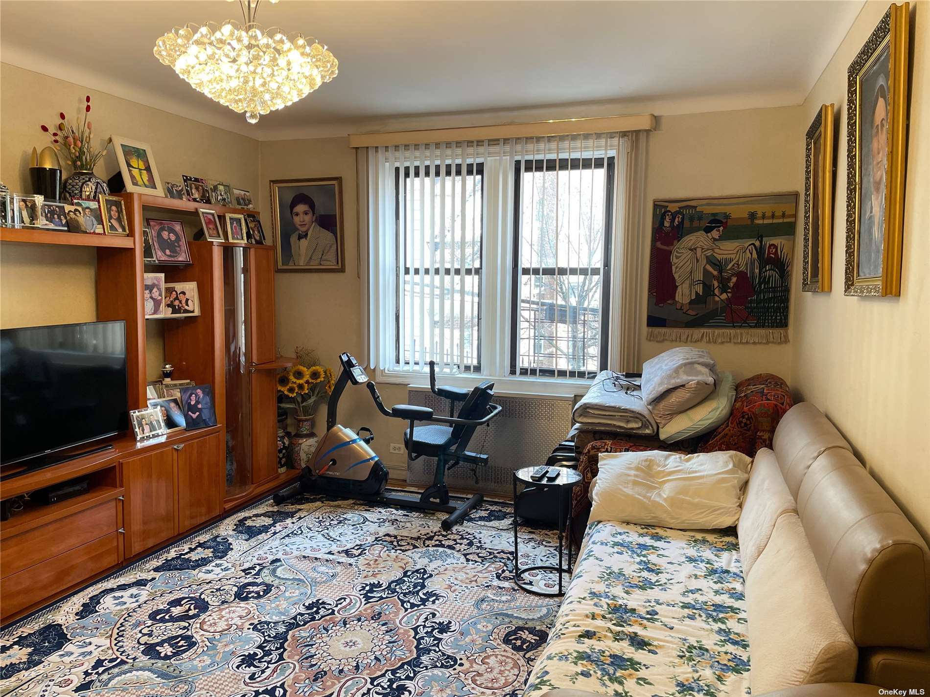 Apartment Booth  Queens, NY 11374, MLS-3520315-6