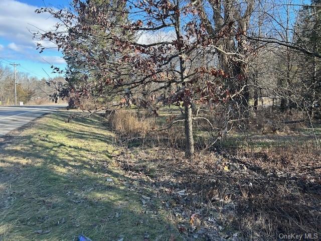 Land Route 209  Ulster, NY 12404, MLS-H6151324-6