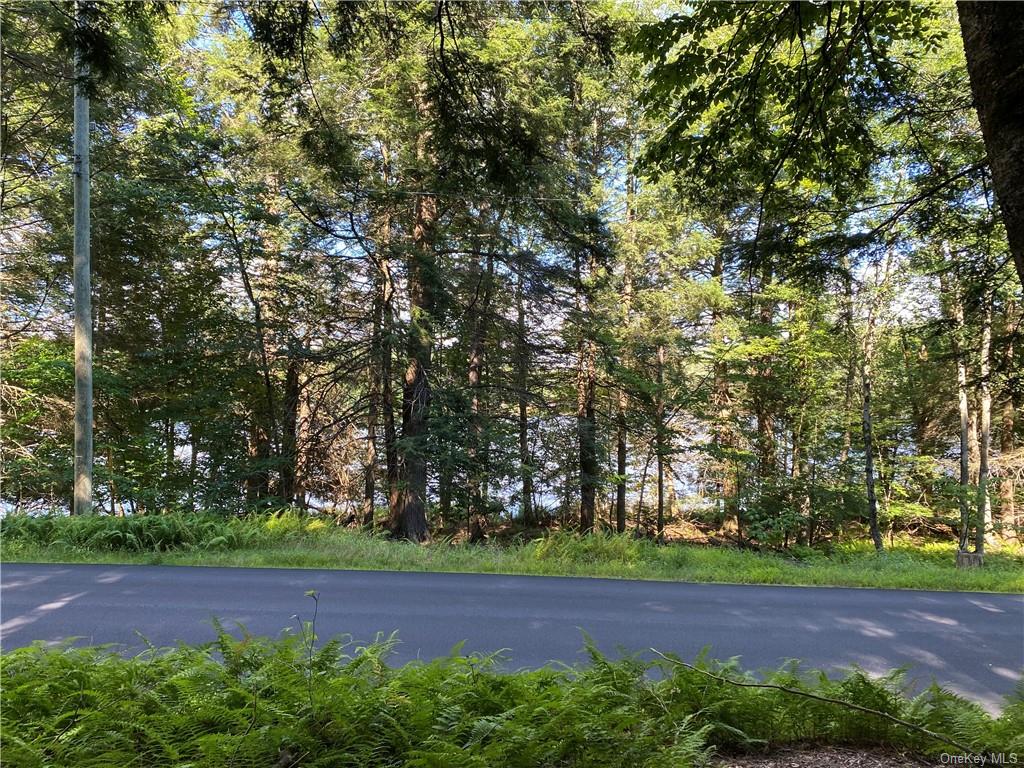 Land Lakeshore  Sullivan, NY 12778, MLS-H6202359-6