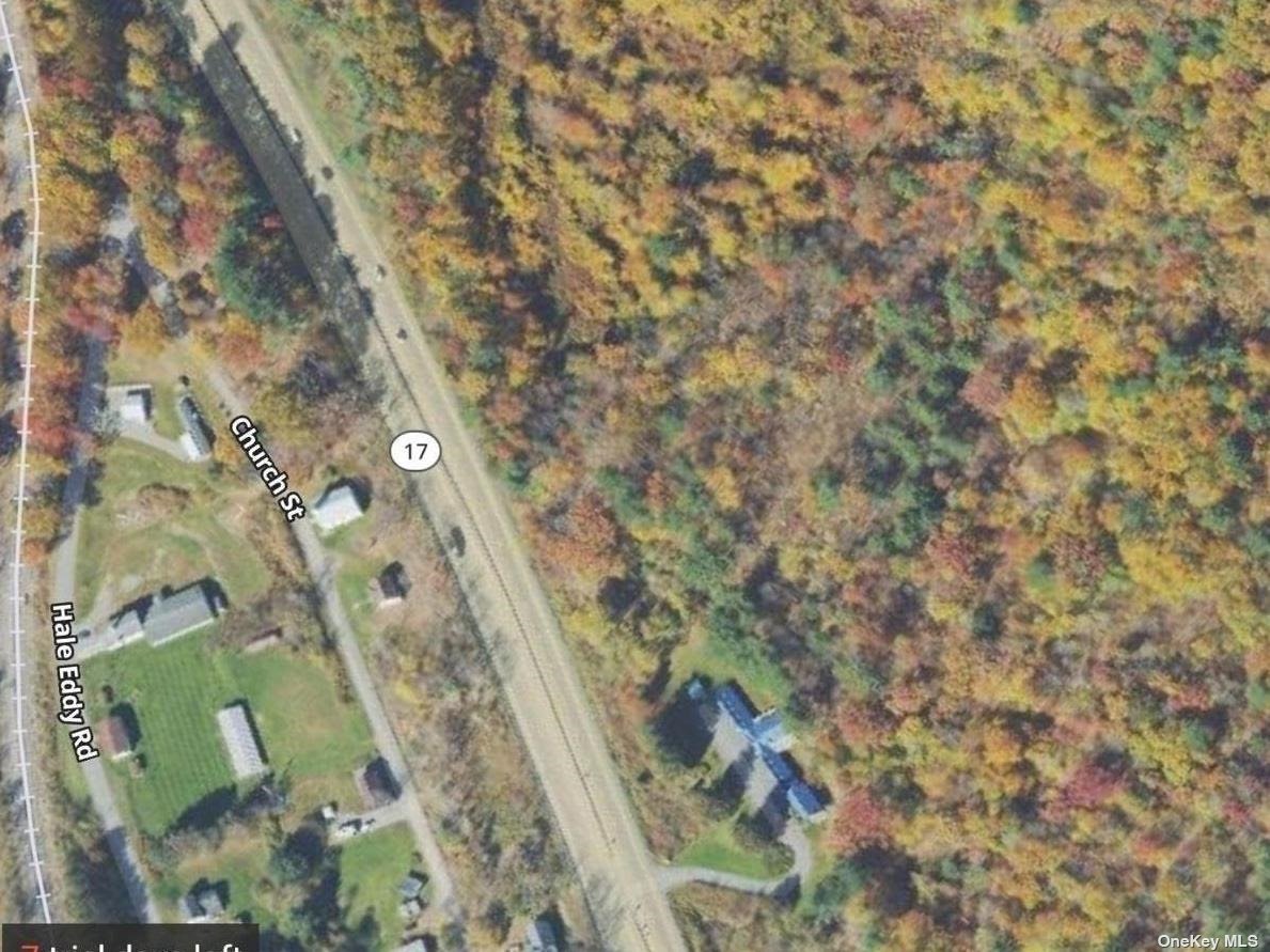 Business Opportunity State Highway 17w  Delaware, NY 13783, MLS-3487371-6