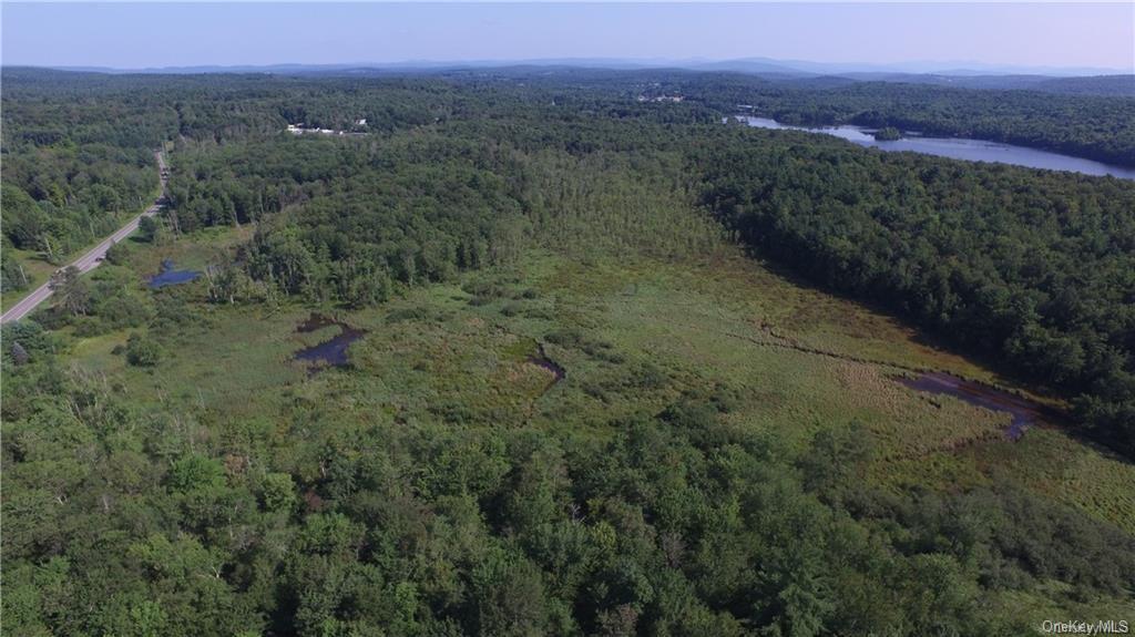 Land Heiden  Sullivan, NY 12733, MLS-H6212378-6