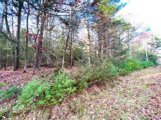 Land Barker  Sullivan, NY 12732, MLS-H6277396-6