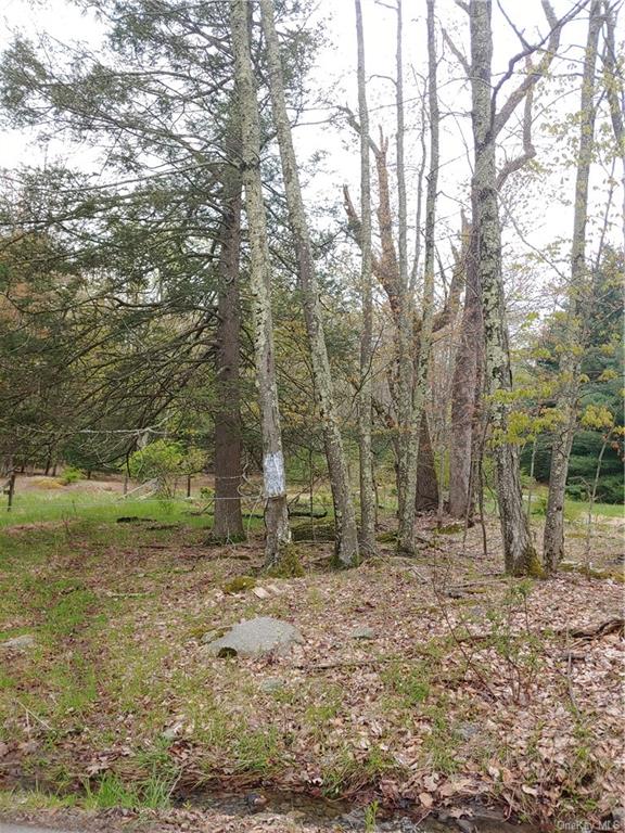 Land Mountain Top  Sullivan, NY 12790, MLS-H6247405-6