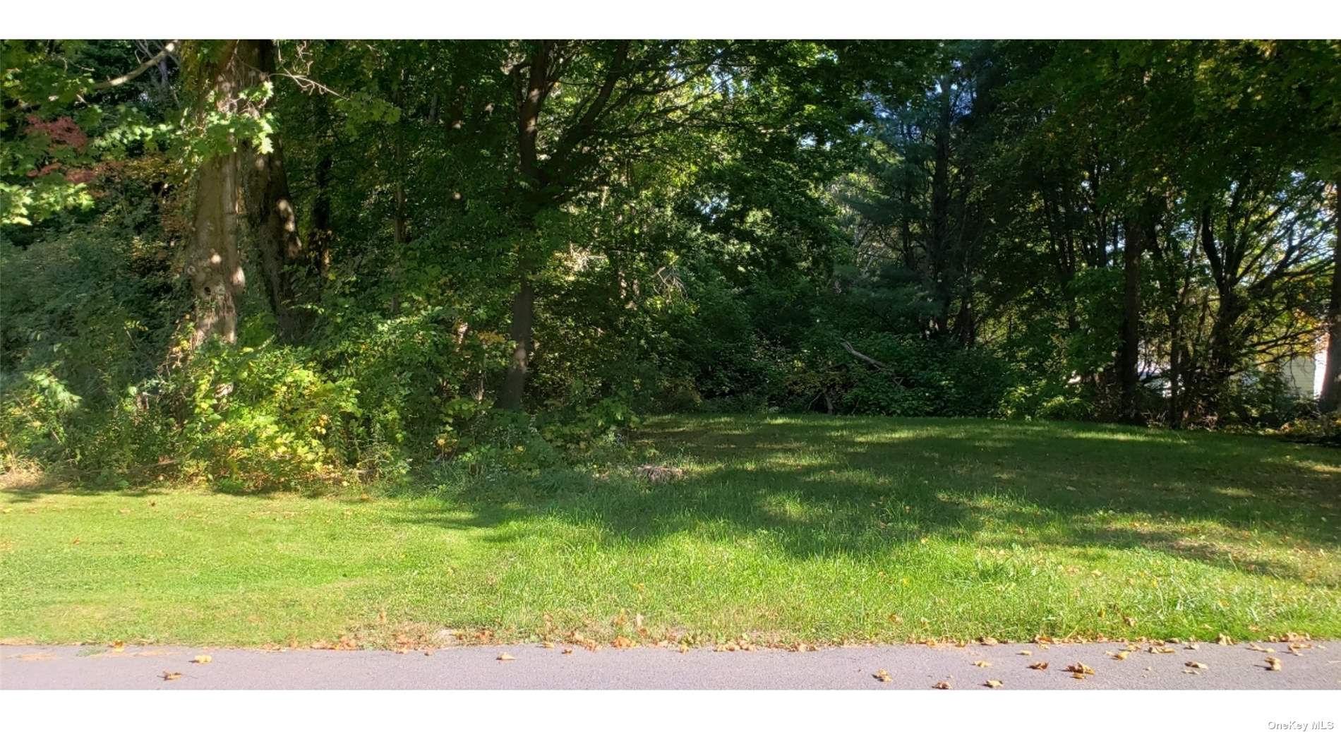 Land N 7th  Out Of Area, NY 13069, MLS-3495417-6