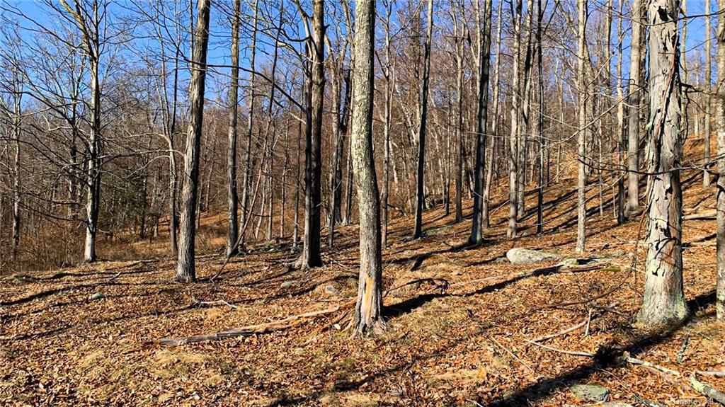 Land Red Rock  Ulster, NY 12489, MLS-H6259428-6