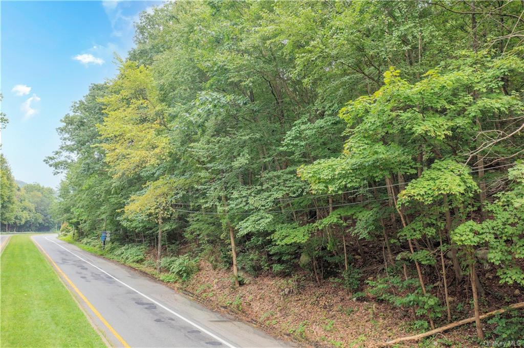 Land Route 17  Rockland, NY 10974, MLS-H6256441-6