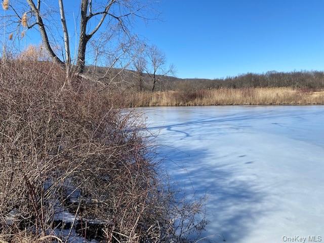 Land Vineyard  Ulster, NY 12528, MLS-H6170462-6