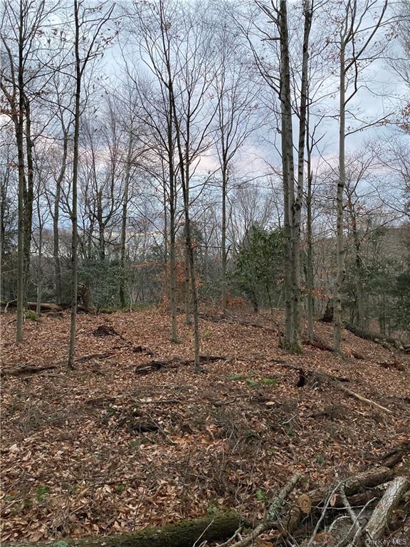 Land Kenoza  Sullivan, NY 12750, MLS-H6271467-6