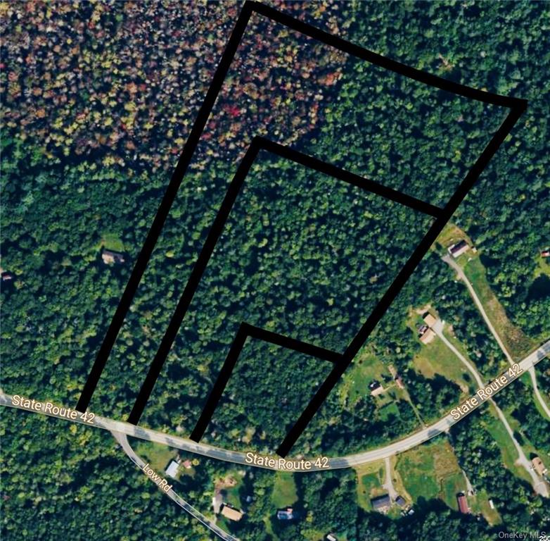 Land State Route 42  Sullivan, NY 12765, MLS-H6248472-6
