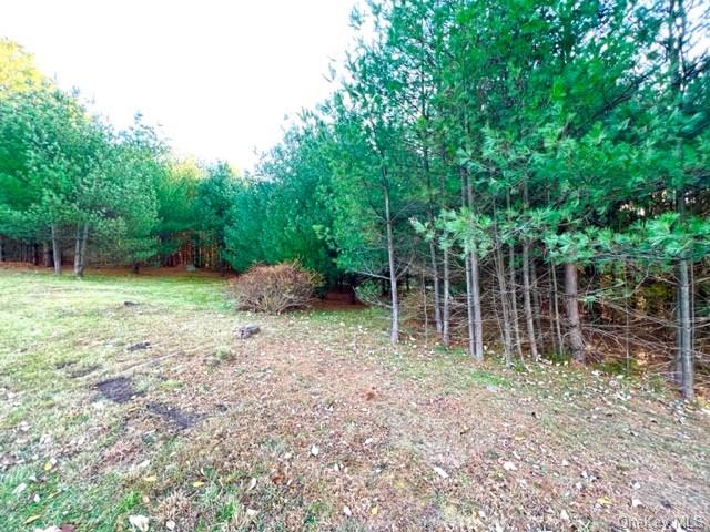 Land Hillside  Sullivan, NY 12719, MLS-H6277475-6