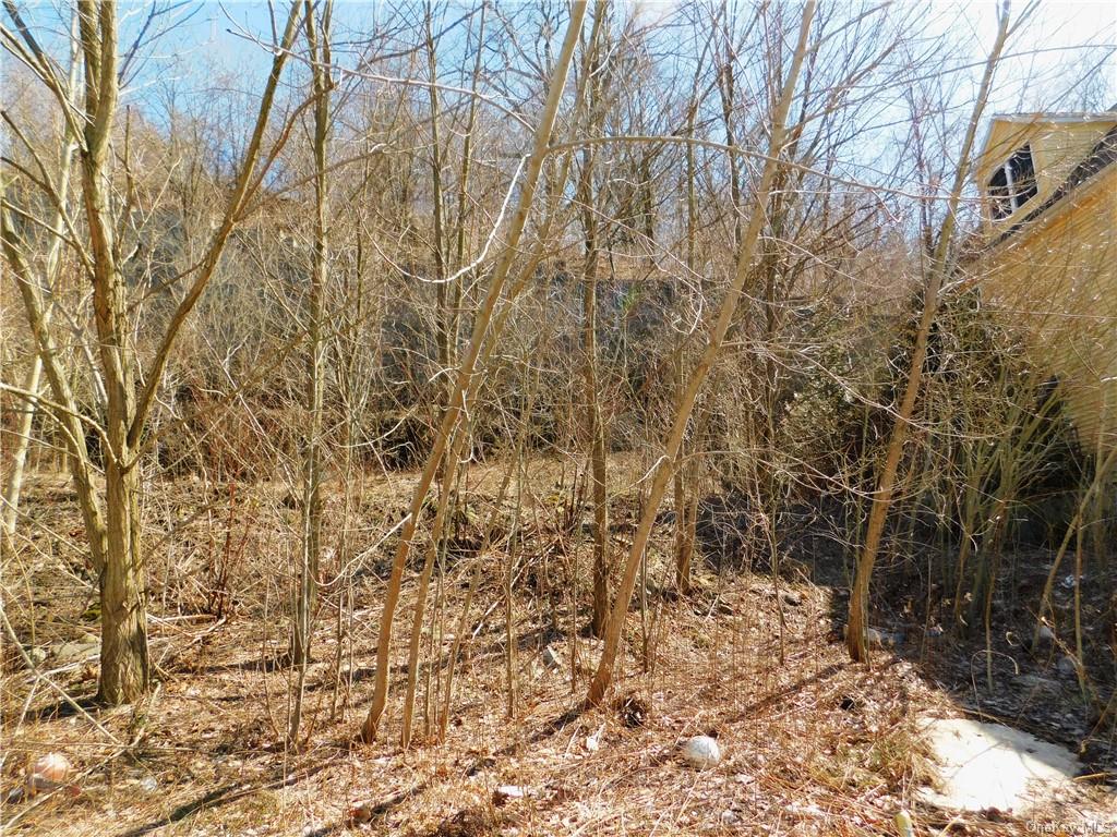 Land Lincoln  Westchester, NY 10566, MLS-H6274477-6