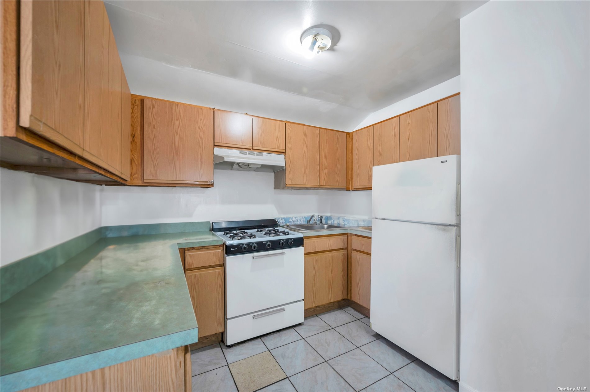 Two Family Troy  Brooklyn, NY 11234, MLS-3502486-6