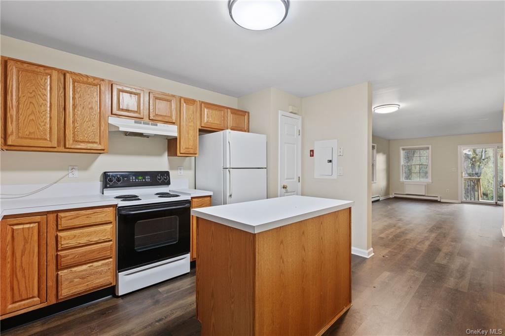 Apartment Lake Lodge  Dutchess, NY 12569, MLS-H6276499-6