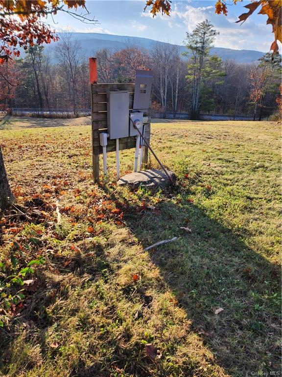 Land Smith  Out Of Area, NY 12469, MLS-H6278519-6