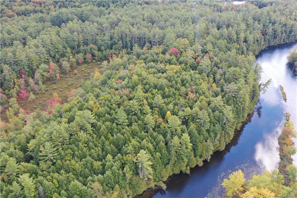 Land Peninsula  Out Of Area, NY 12808, MLS-H6210524-6