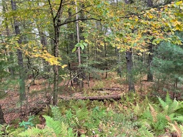 Land Chapin  Sullivan, NY 12720, MLS-H6273528-6